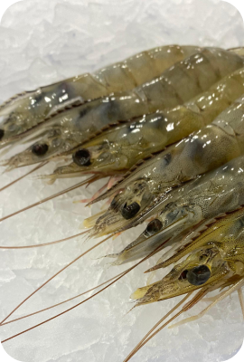 menuhome2