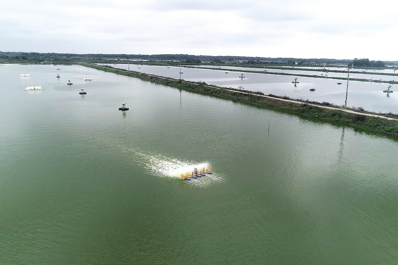 DJI_0016