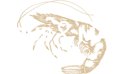 Crus & Mar
